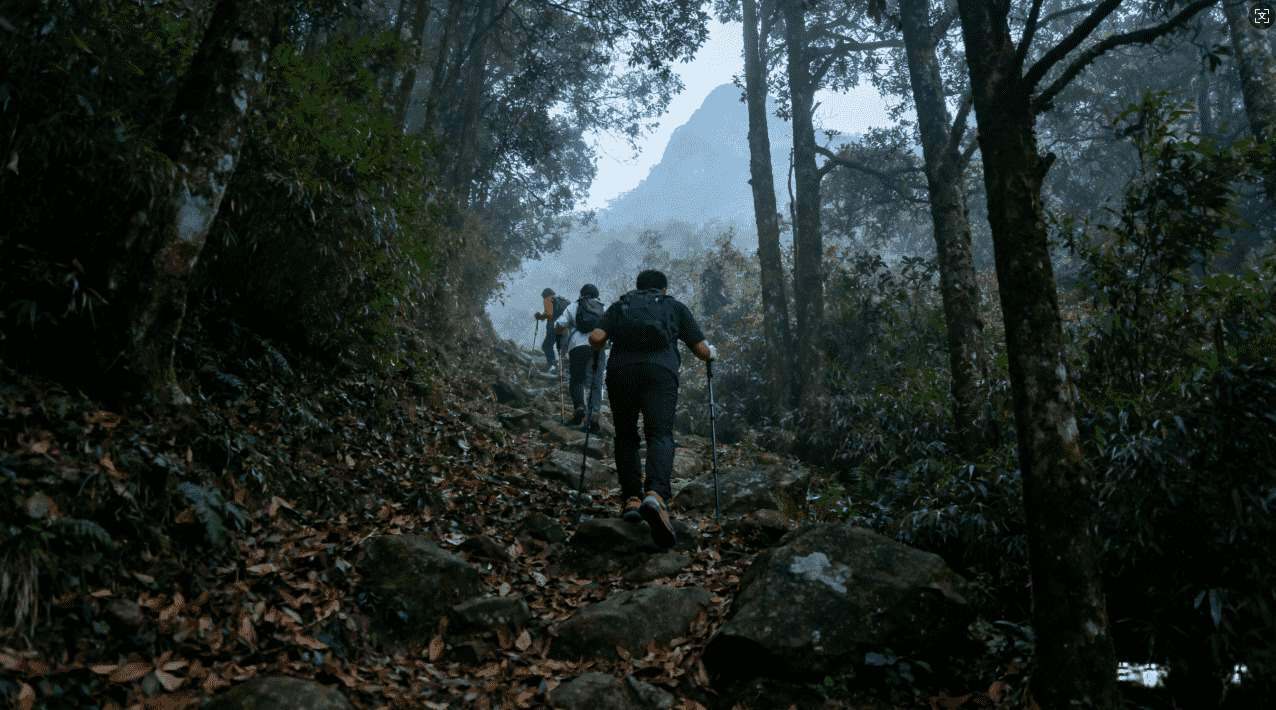 西柚VP加速器安卓免费版下载安装指南